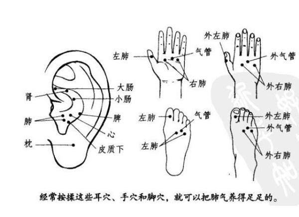 孩手里有个“止咳开关”，家长轻按一下，孩子咳嗽好得快！